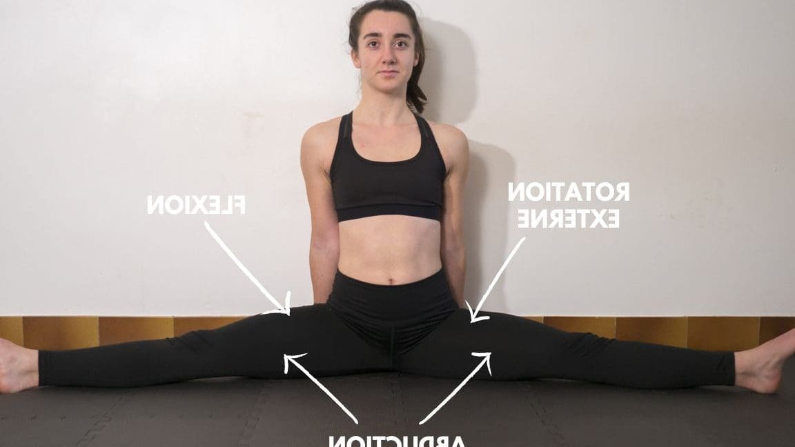 Comprendre la Posture Antéversée Antéfléchie : Impacts et Solutions pour Votre Santé Posturale