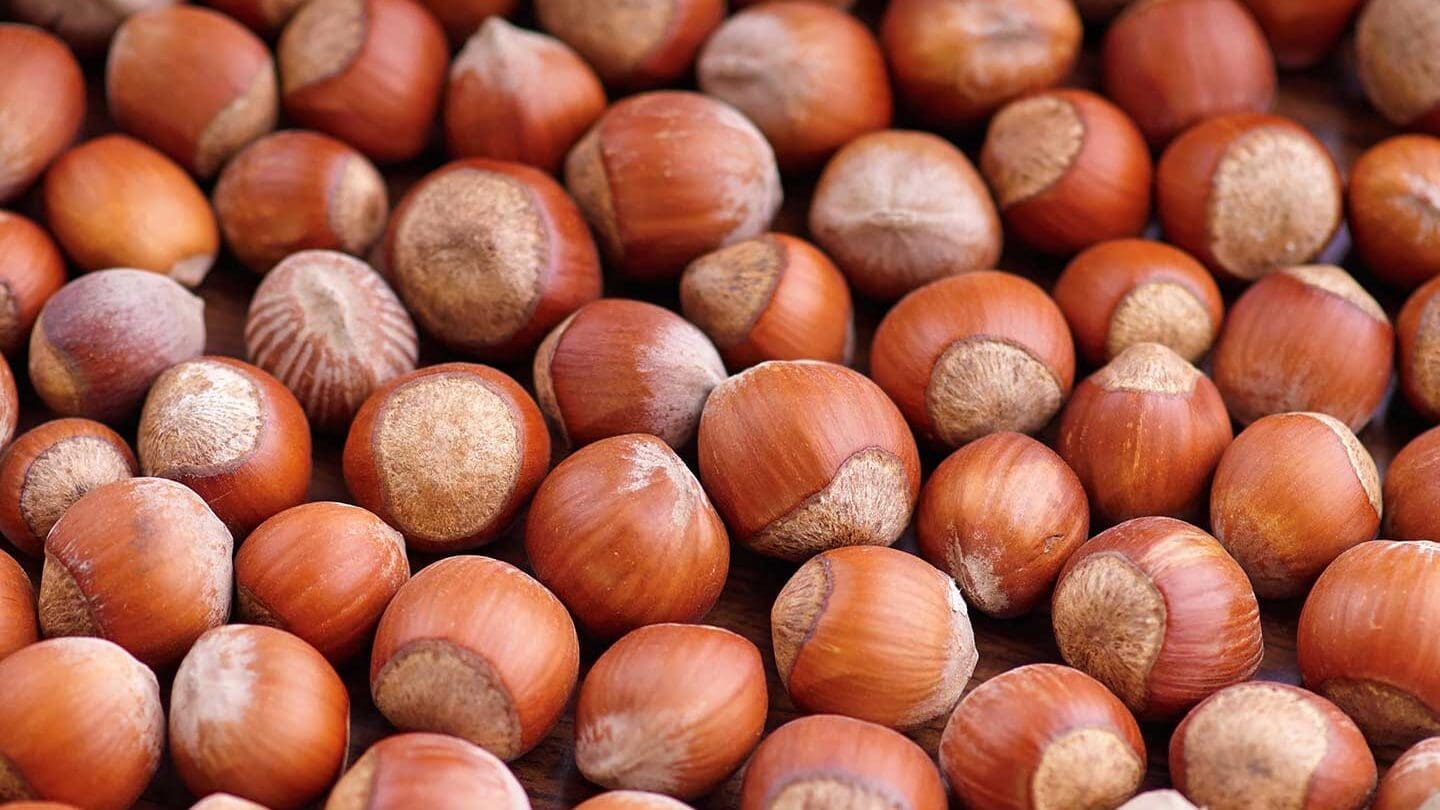 Pistaches et Apport Calorique: Ce Que Vous Devez Savoir